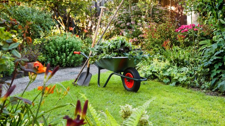 Benefits of Hiring Landscaping Contractors